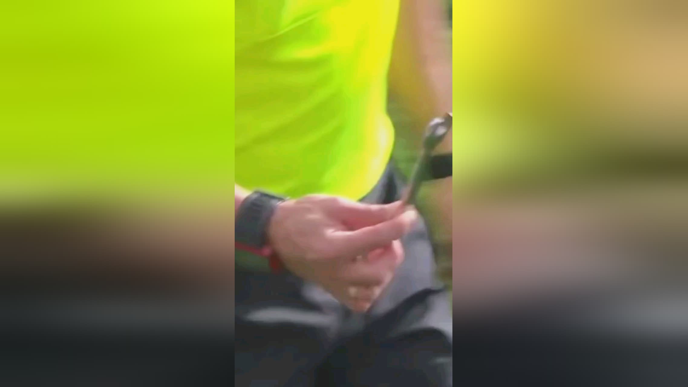 主队价值